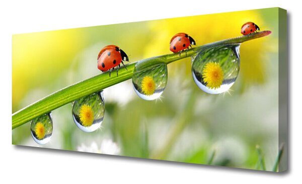 Obraz Canvas List lienky príroda 125x50 cm