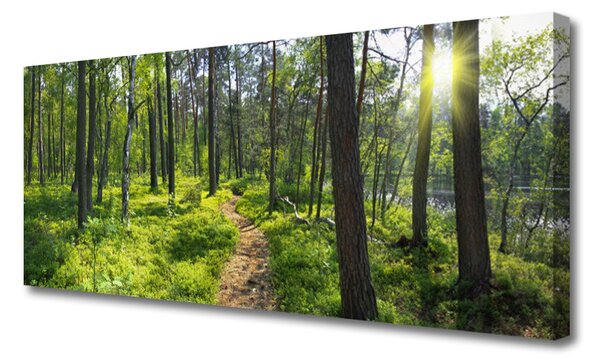 Obraz Canvas Les chodník cestička príroda 125x50 cm