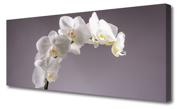 Obraz Canvas Kvety rastlina príroda 125x50 cm