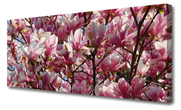 Obraz Canvas Vetvy kvety rastlina 125x50 cm
