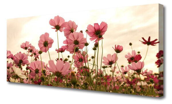 Obraz Canvas Poľné kvety lúka príroda 125x50 cm