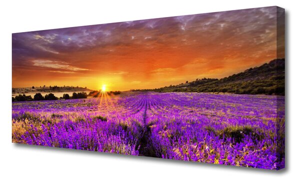 Obraz Canvas Západ slnka pole levanduľa 125x50 cm