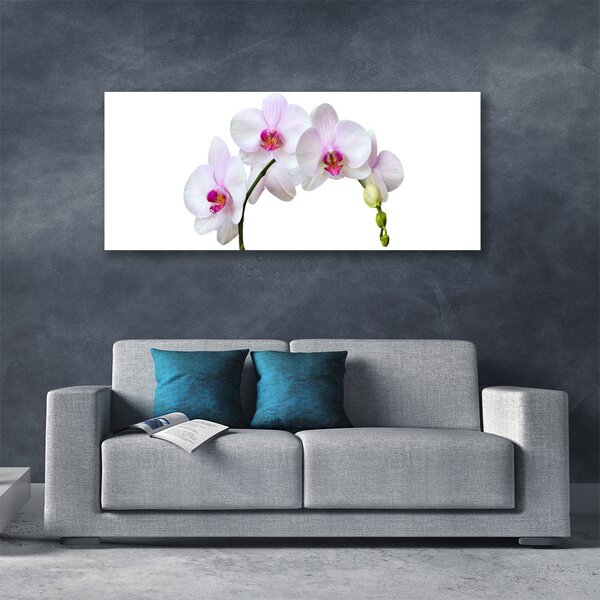 Obraz Canvas Vstavač orchidea kvety 125x50 cm