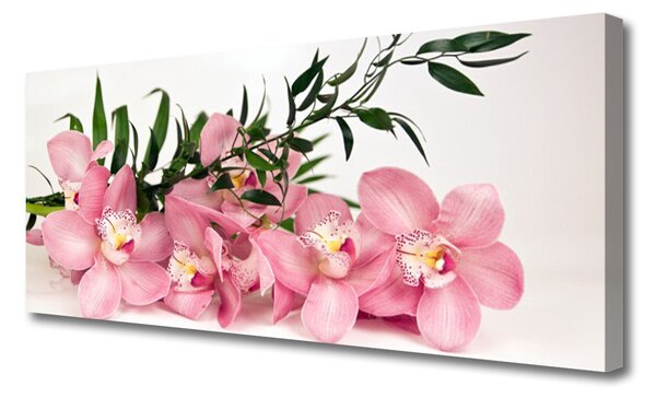 Obraz Canvas Orchidea kvety kúpele 125x50 cm