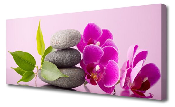Obraz Canvas Orchidea vstavač kamene 125x50 cm