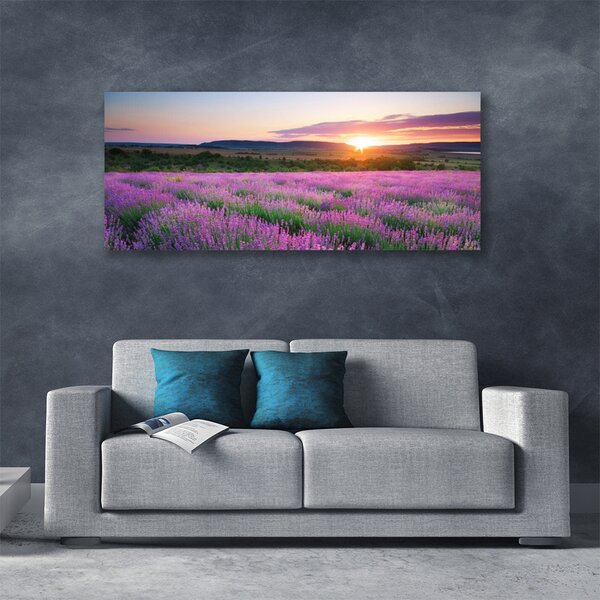 Obraz Canvas Levanduľa pole lúka západ 125x50 cm