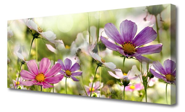 Obraz Canvas Kvety rastlina príroda 125x50 cm