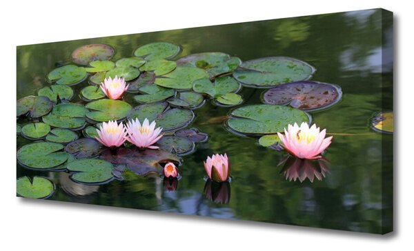 Obraz Canvas Vodné lilie rybník príroda 125x50 cm