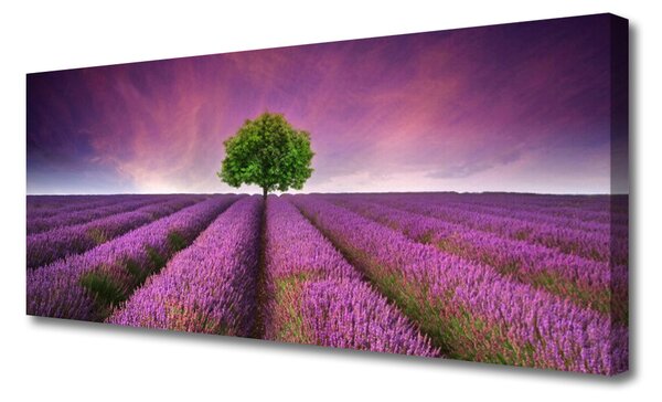 Obraz Canvas Lúka strom príroda 125x50 cm
