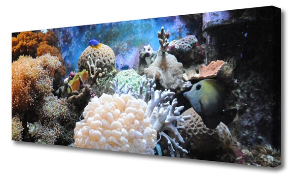 Obraz Canvas Koralový útes príroda 125x50 cm
