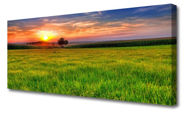 Obraz Canvas Lúka slnko príroda 125x50 cm