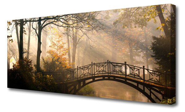Obraz Canvas Les most architektúra 125x50 cm