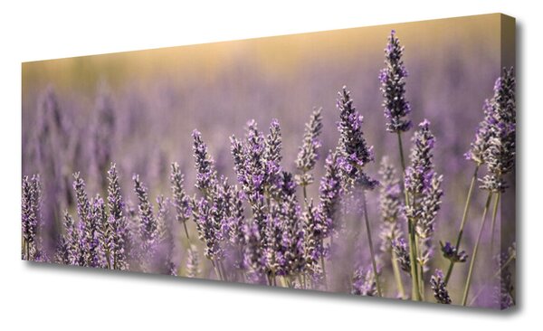 Obraz Canvas Kvety rastlina príroda 125x50 cm