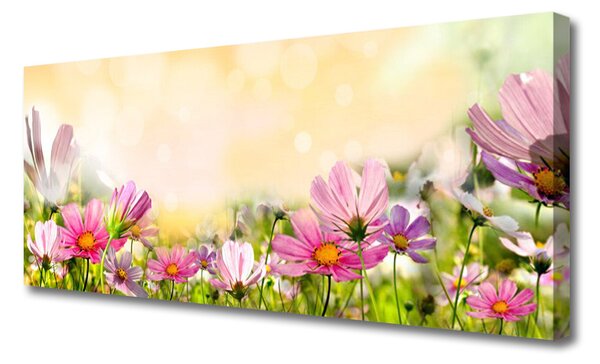 Obraz Canvas Kvety rastlina príroda 125x50 cm