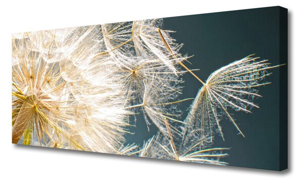 Obraz Canvas Púpava rastlina 125x50 cm