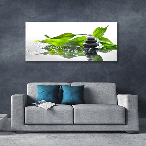 Obraz Canvas Kamene listy umenie 125x50 cm