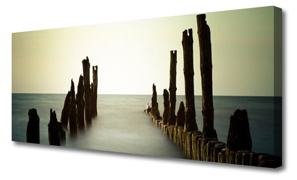 Obraz Canvas More slnko krajina 125x50 cm