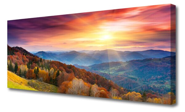 Obraz Canvas Hora les slnko krajina 125x50 cm
