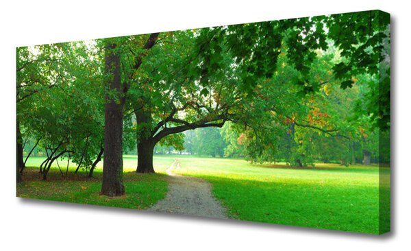 Obraz Canvas Chodník stromy príroda 125x50 cm
