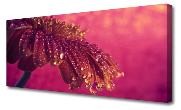 Obraz Canvas Strom príroda rastlina 125x50 cm