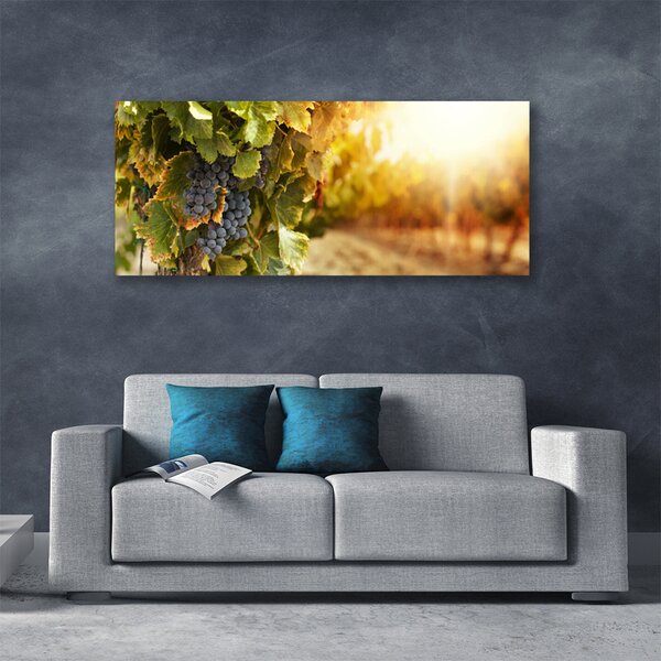 Obraz Canvas Hrozno listy kuchyňa 125x50 cm