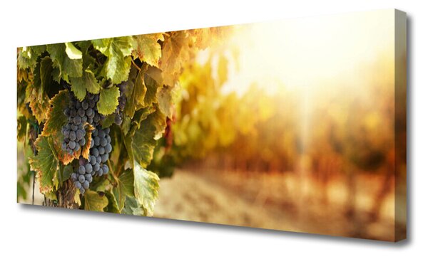 Obraz Canvas Hrozno listy kuchyňa 125x50 cm