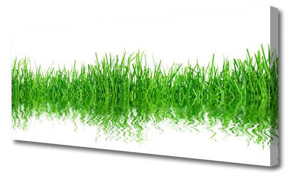 Obraz Canvas Tráva rastlina príroda 125x50 cm