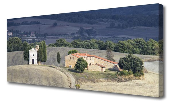 Obraz Canvas Lúka stromy príroda 125x50 cm