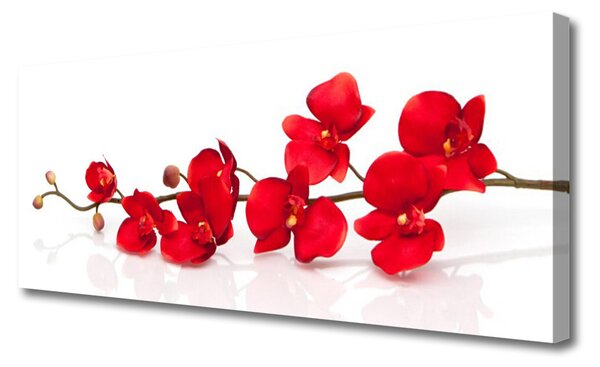 Obraz Canvas Kvety rastlina príroda 125x50 cm