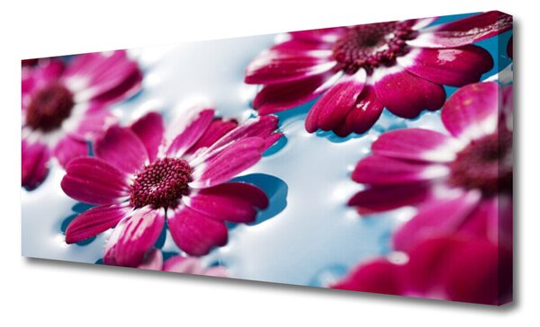 Obraz Canvas Kvety na vode príroda 125x50 cm