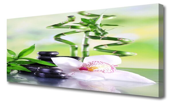 Obraz Canvas Orchidea bambus zen kúpele 125x50 cm