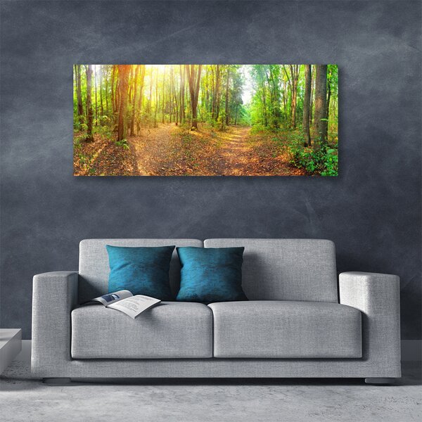Obraz Canvas Slnko príroda lesné chodník 125x50 cm