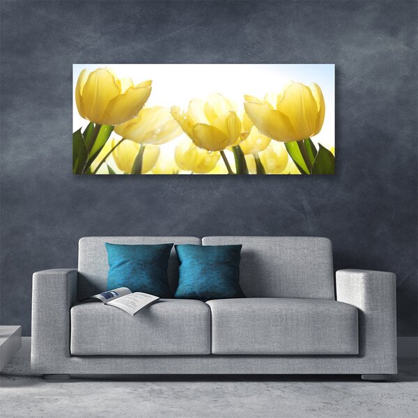 Obraz Canvas Tulipány kvety lúče 125x50 cm