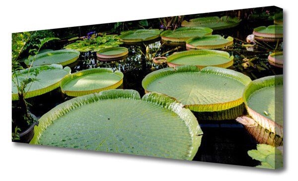 Obraz Canvas Listy jazero príroda 125x50 cm