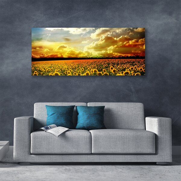 Obraz Canvas Pole slnečníc krajina 125x50 cm