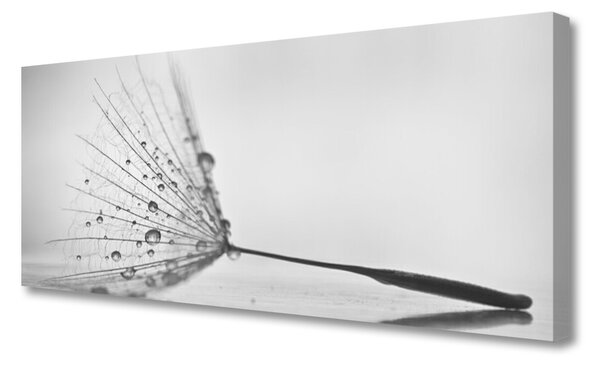 Obraz Canvas Púpava semienka 125x50 cm