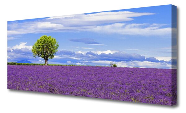 Obraz Canvas Pole levanduľa strom príroda 125x50 cm