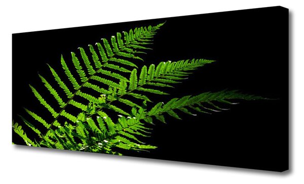 Obraz Canvas Sladič papradie listy 125x50 cm