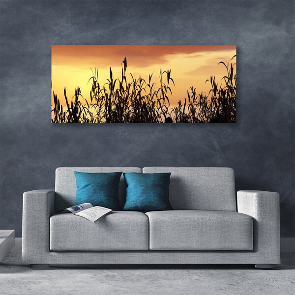 Obraz Canvas Listy západ lúka pole 125x50 cm