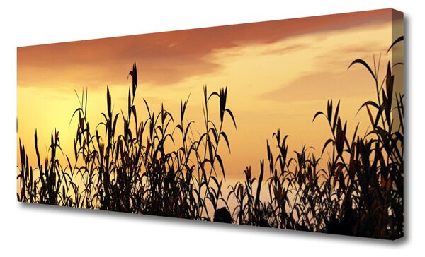 Obraz Canvas Listy západ lúka pole 125x50 cm