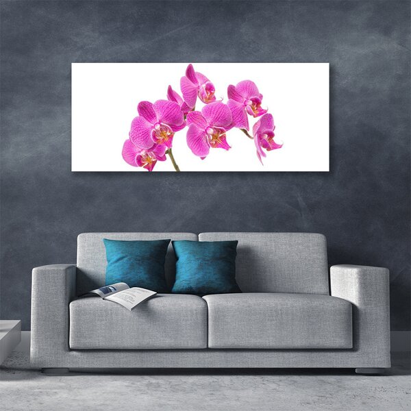 Obraz Canvas Orchidea kvety príroda 125x50 cm