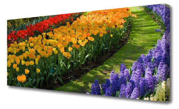 Obraz Canvas Kvety záhrada tulipány 125x50 cm