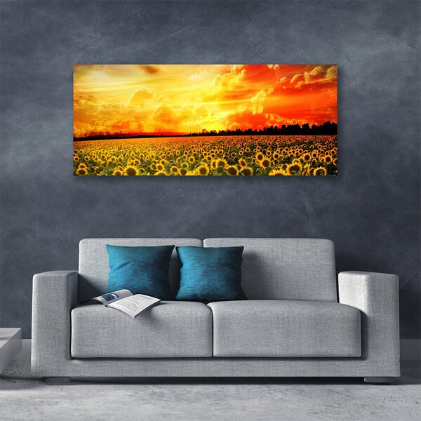 Obraz Canvas Lúka slnečnica kvety 125x50 cm