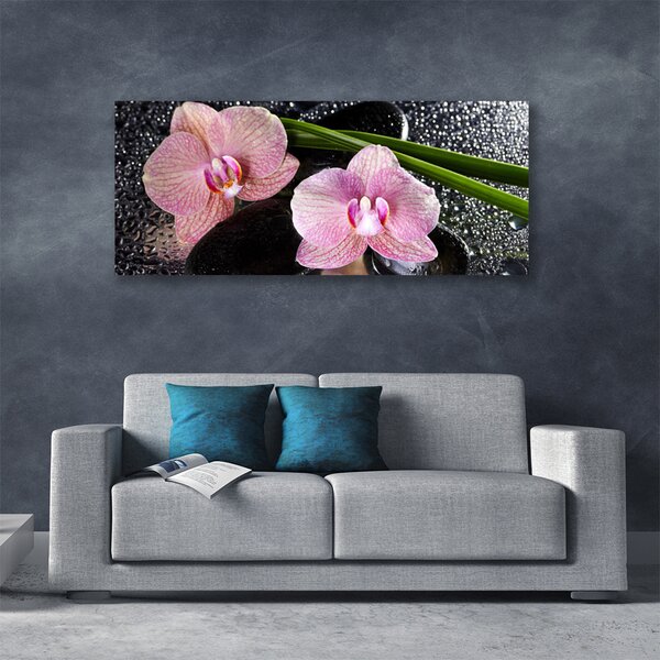 Obraz Canvas Kvety orchidea kamene zen 125x50 cm