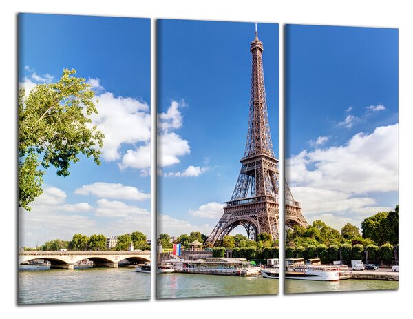 Obraz do bytu Eiffelovka a rieka