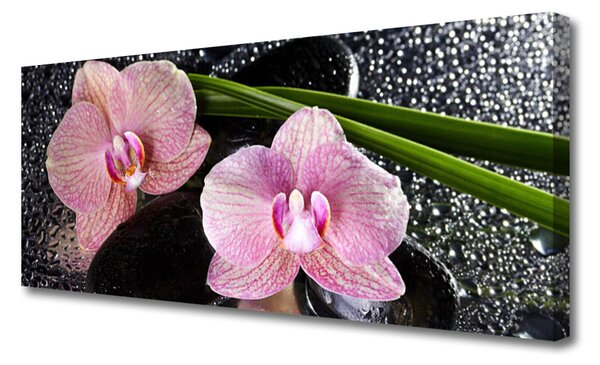 Obraz Canvas Kvety orchidea kamene zen 125x50 cm