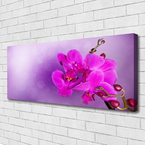 Obraz Canvas Kvety plátky orchidea 125x50 cm