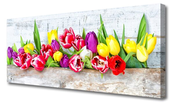 Obraz Canvas Tulipány kvety príroda 125x50 cm