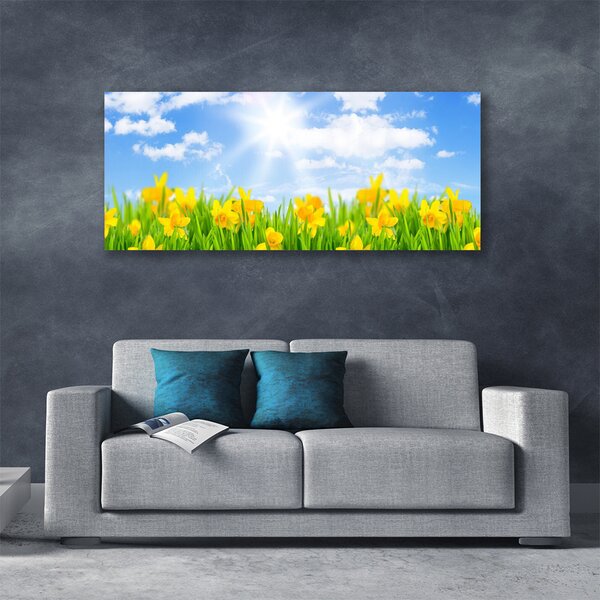 Obraz Canvas Narcisy lúka tráva príroda 125x50 cm