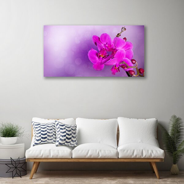 Obraz Canvas Kvety plátky orchidea 125x50 cm